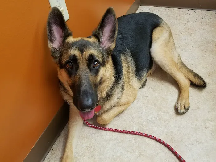 West Milton Veterinary Clinic 12