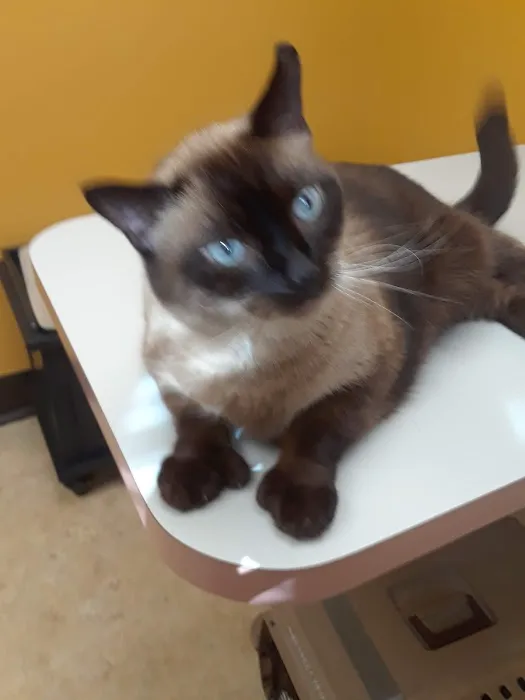 West Milton Veterinary Clinic 12