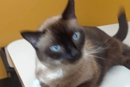 West Milton Veterinary Clinic