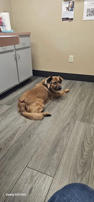 West Milton Veterinary Clinic 12