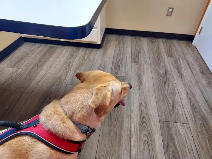 West Milton Veterinary Clinic 12