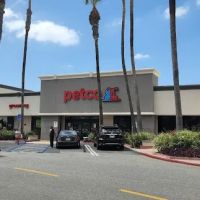 Petco ico