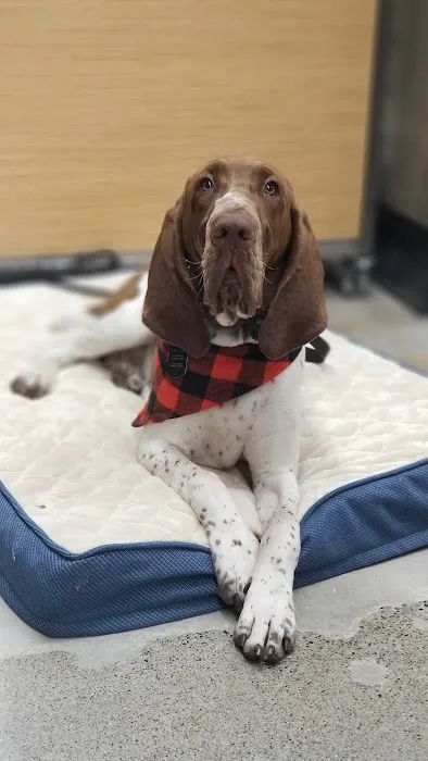 Petco 12