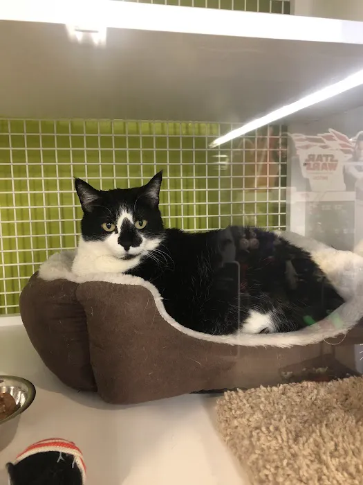 Petco 12