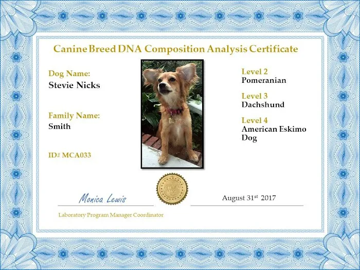 My Canines Ancestry DNA Lab Services 12