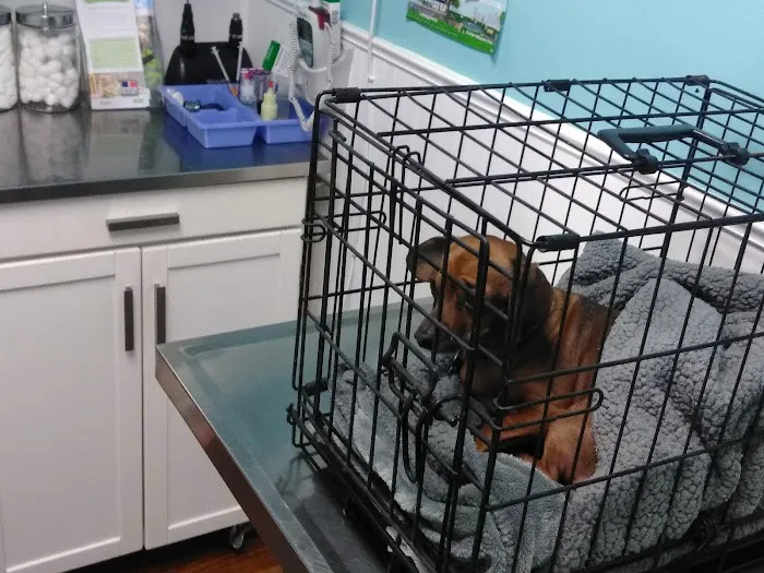 Trenton Animal Hospital 12