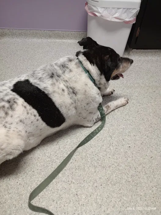 Trenton Animal Hospital 12