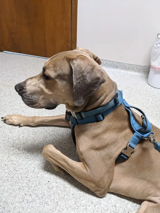 Trenton Animal Hospital 12