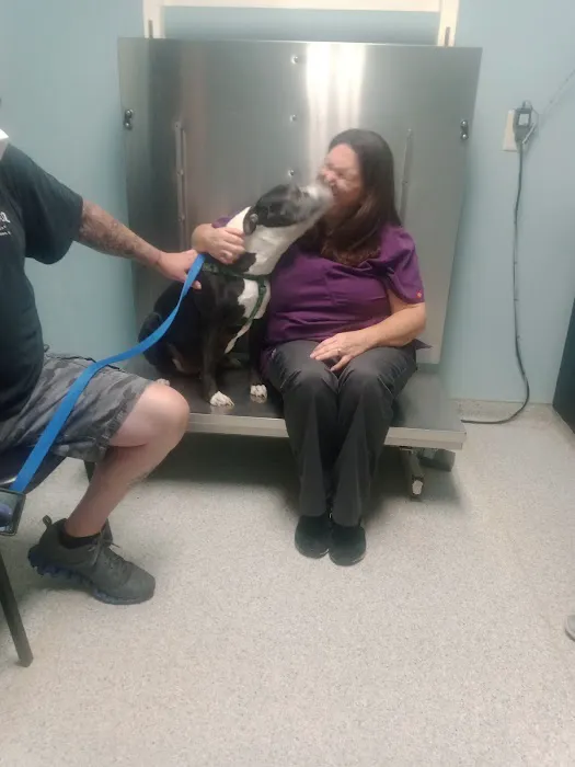 Trenton Animal Hospital 12
