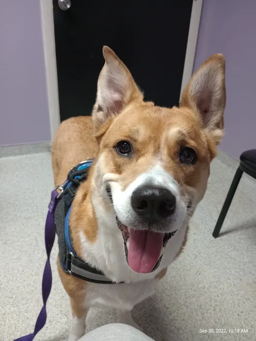 Trenton Animal Hospital 12