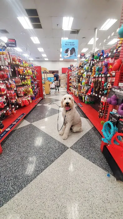 Petco 12