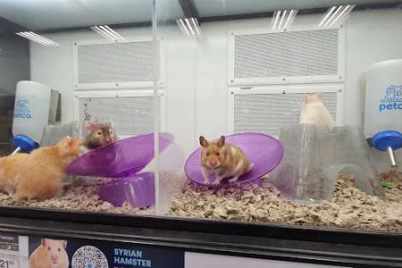 Petco