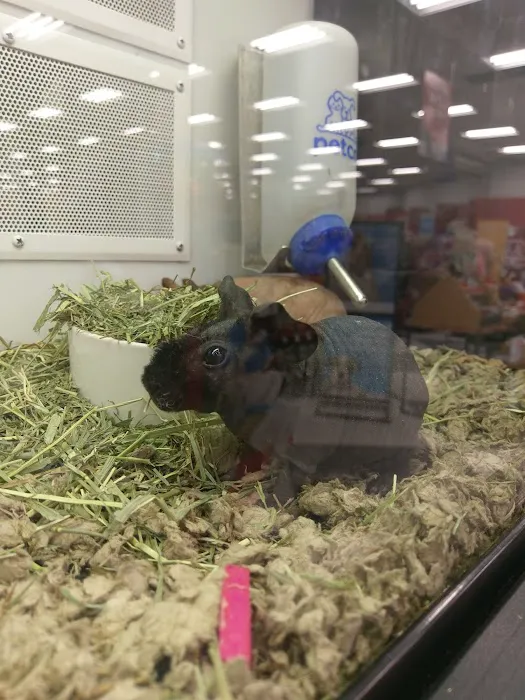 Petco 12