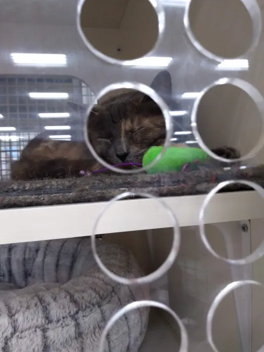 Petco 12