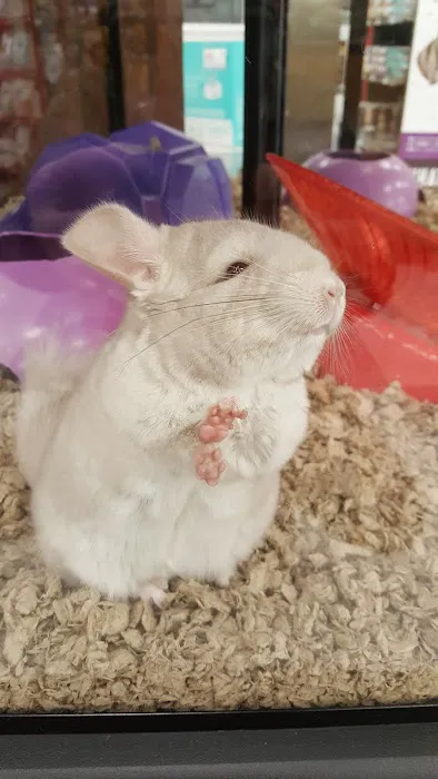 Petco 12