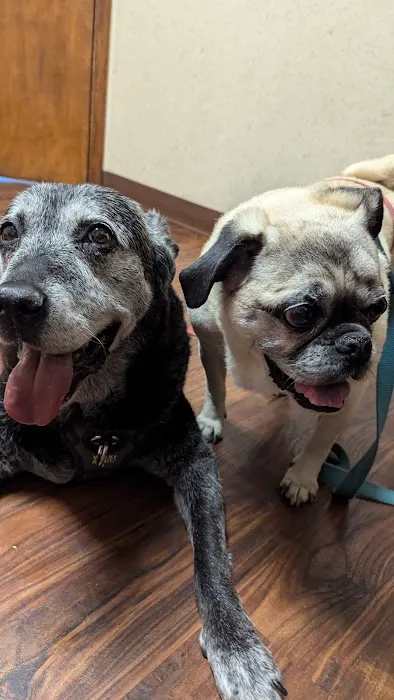 Hartford Animal Clinic 12
