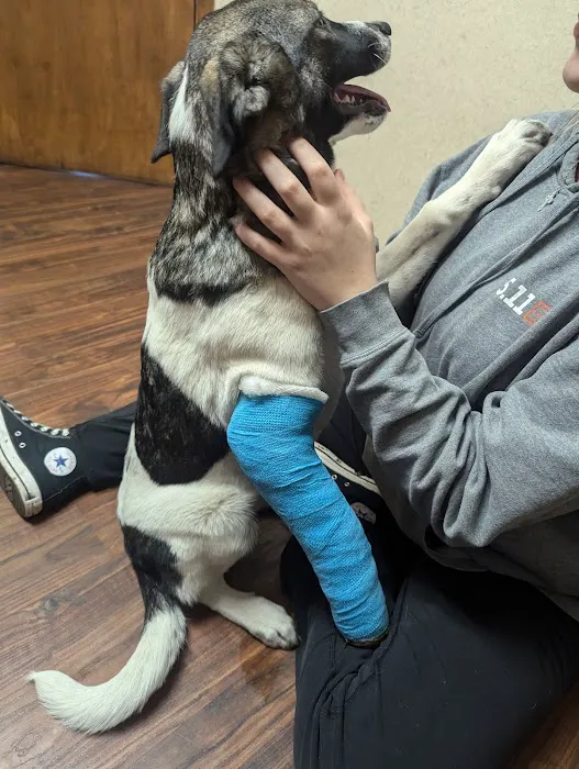 Hartford Animal Clinic 12