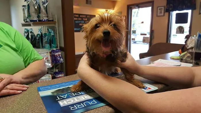 Hartford Animal Clinic 12