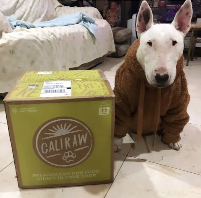 Cali Raw Dog Food 12