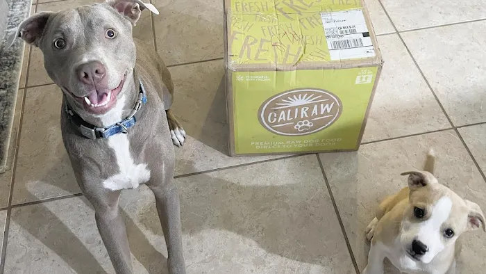 Cali Raw Dog Food 12