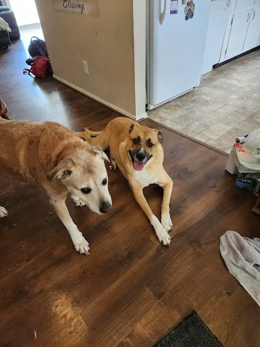 Banfield Pet Hospital 3