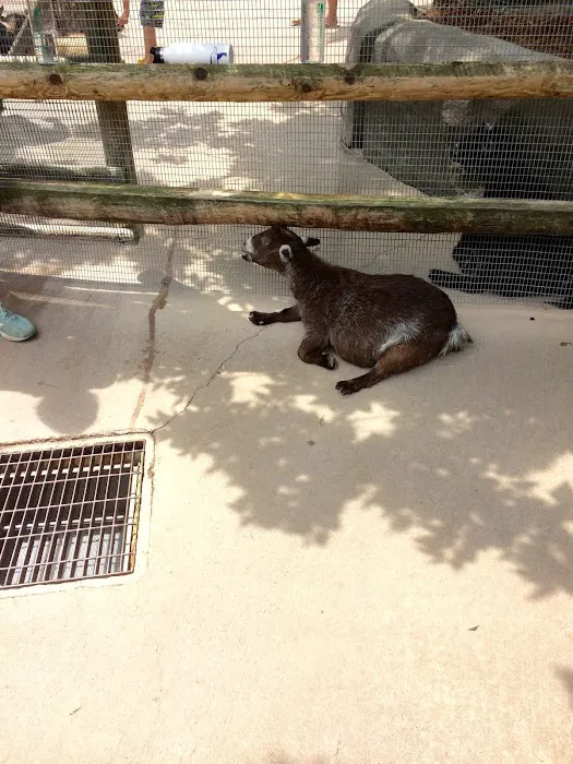 Banfield Pet Hospital 1