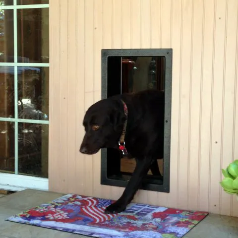 Solo Pet Doors 12