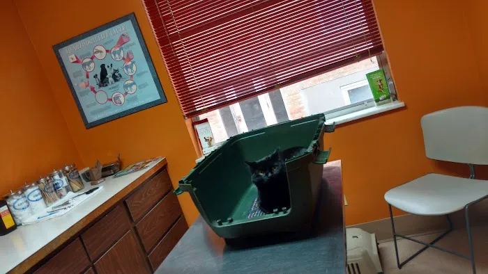 Oak Hills Animal Hospital 12
