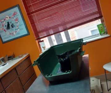 Oak Hills Animal Hospital