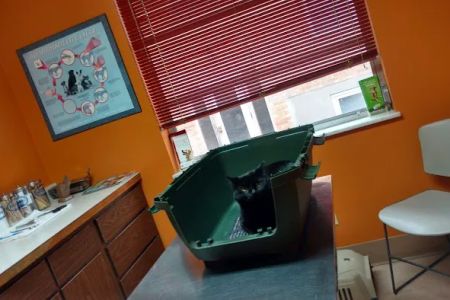 Oak Hills Animal Hospital