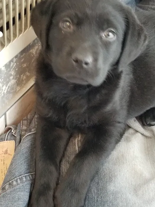 Oak Hills Animal Hospital 12