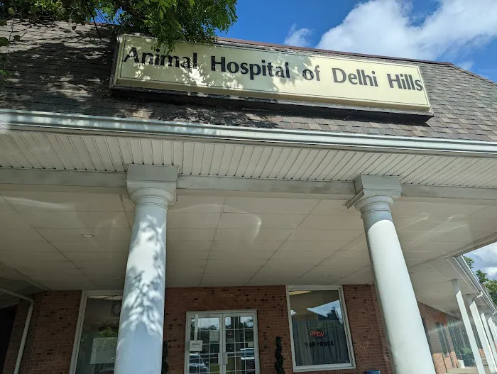 Animal Hospital of Delhi Hills 12