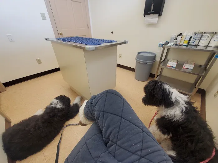 Animal Hospital of Delhi Hills 12