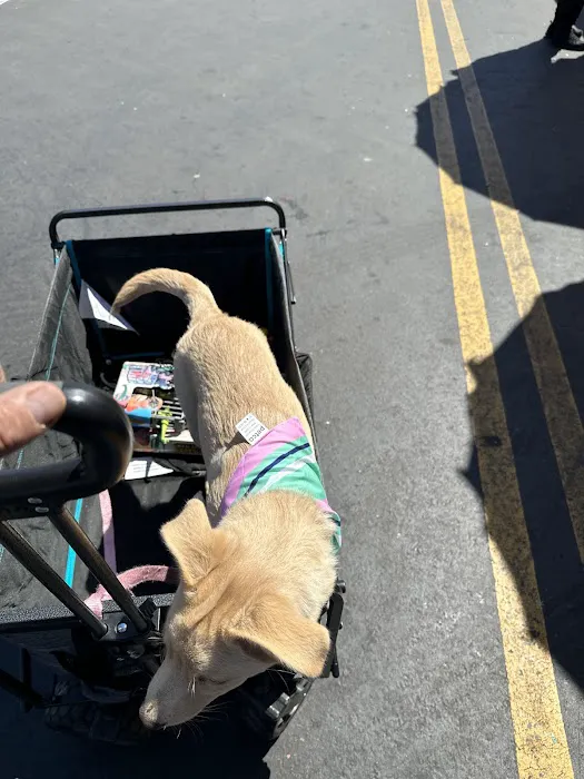 Petco 12