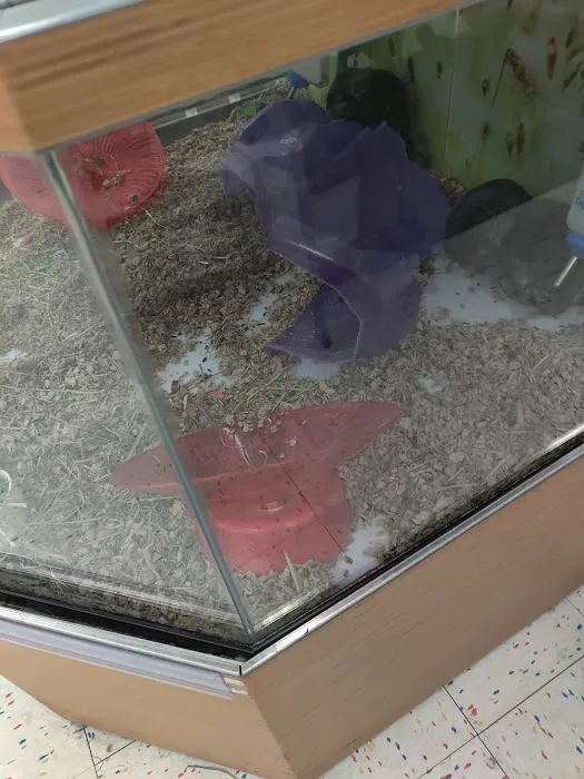Petco 12