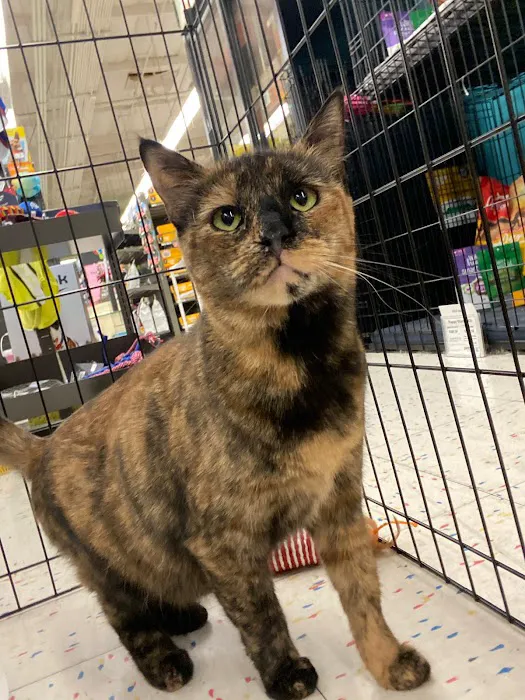 Petco 12