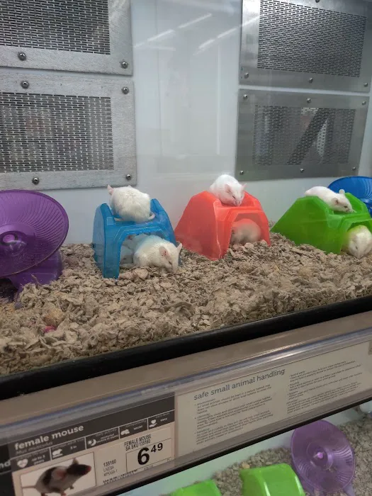 Petco 12