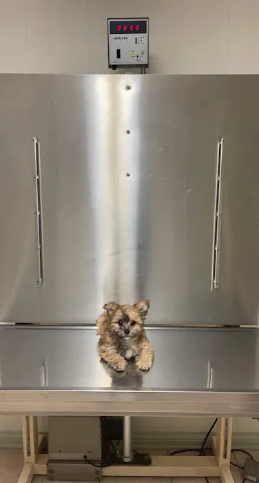 Delhi Veterinary Clinic, Inc 12