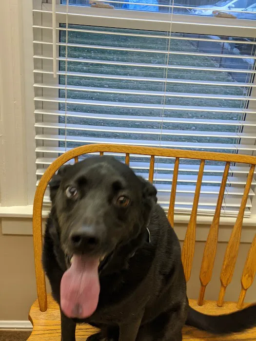 Brinker Animal Hospital 12