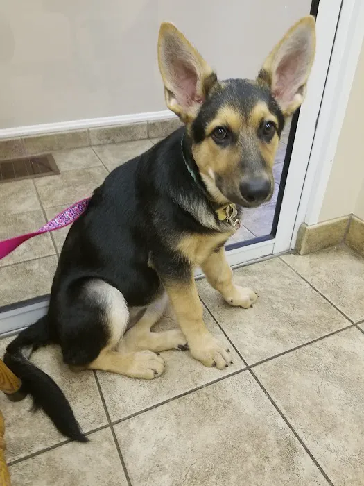Brinker Animal Hospital 12
