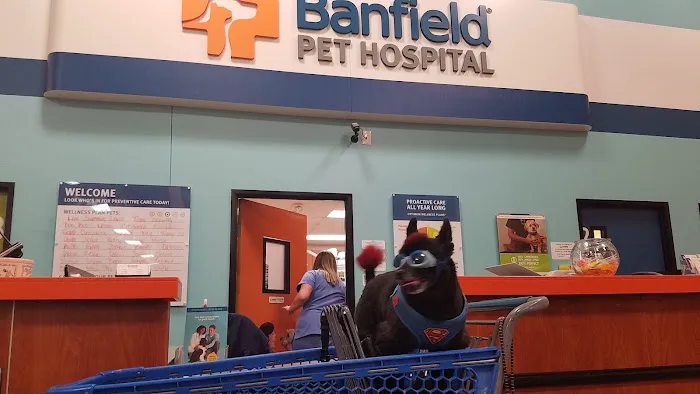 Banfield Pet Hospital 12