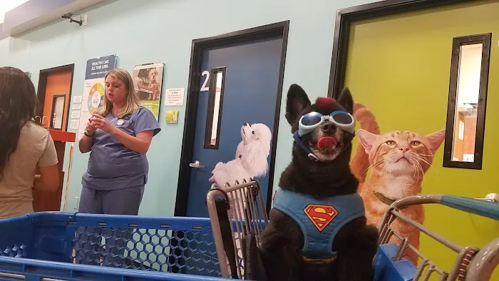 Banfield Pet Hospital 12