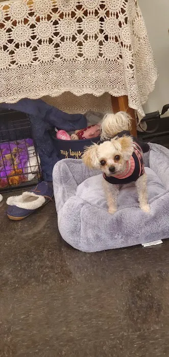 Banfield Pet Hospital 12