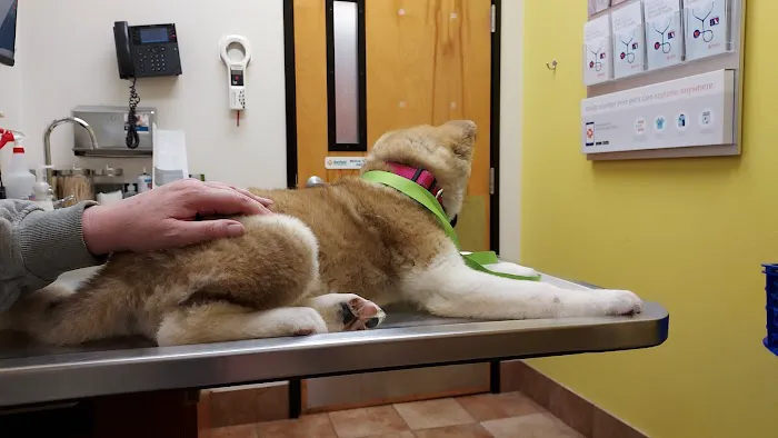 Banfield Pet Hospital 12