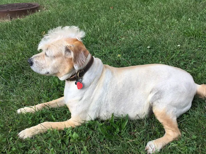 Banfield Pet Hospital 12