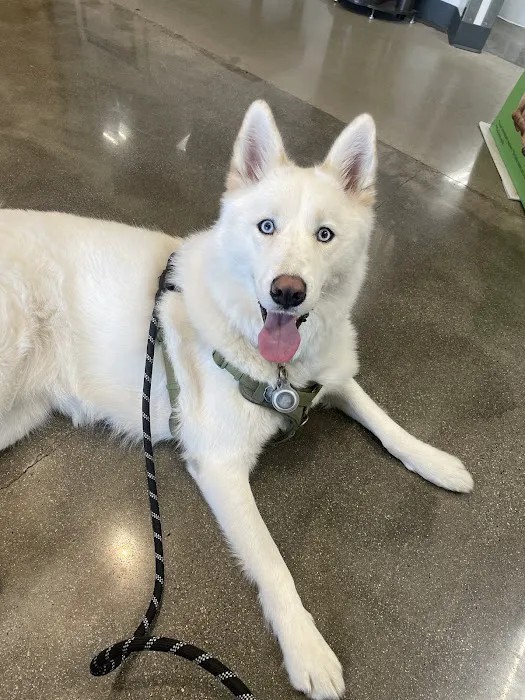 Petco 7