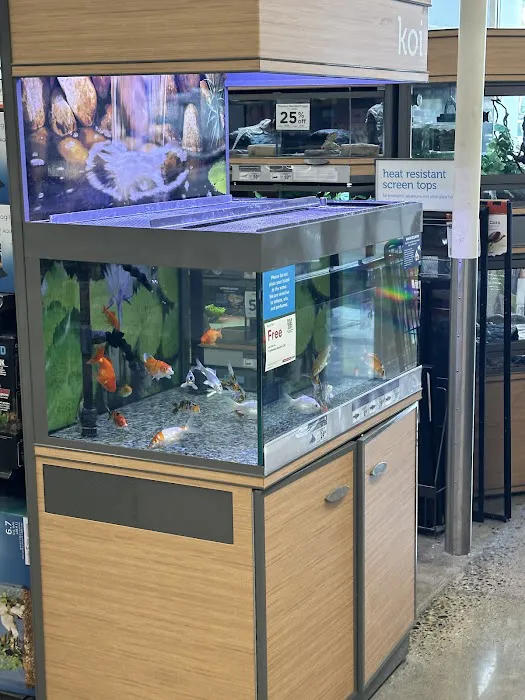 Petco 2
