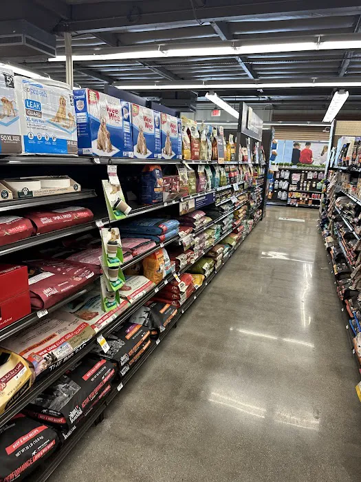 Petco 5