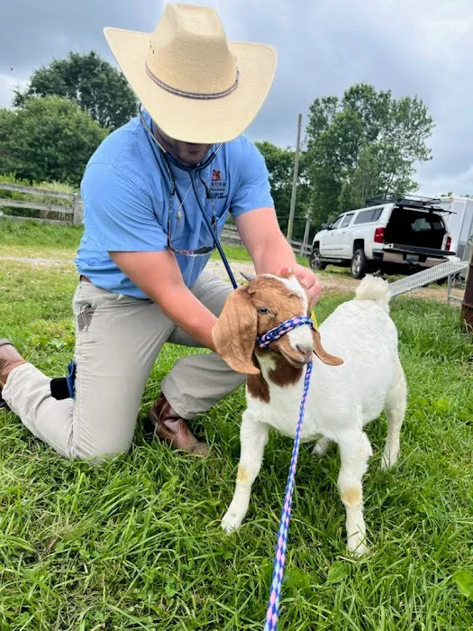 Dr. Prather’s Farm Animal Veterinary Services 12