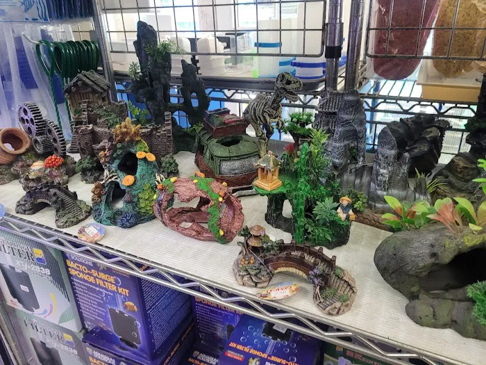 D D Fish & Pets 12
